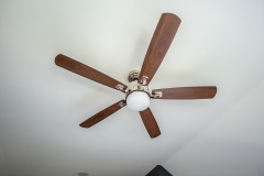 IMG_1900