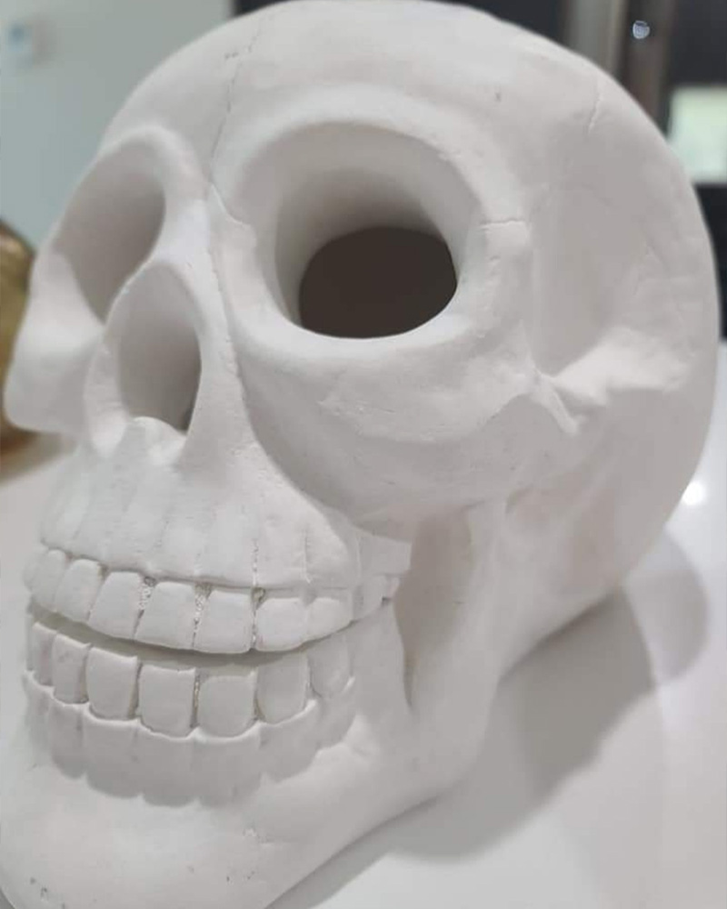 A matte white fake skull